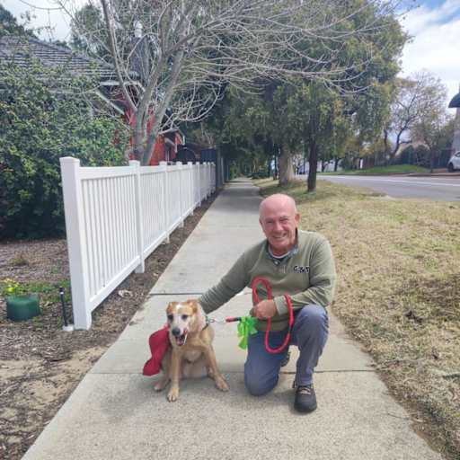 Profile image for pet sitter Jesús