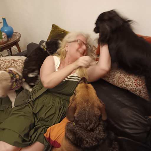 Profile image for pet sitter Hilary