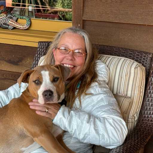 Profile image for pet sitters Emily & Nathan