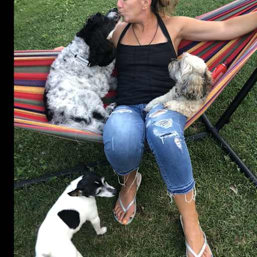Profile image for pet sitter Shannon
