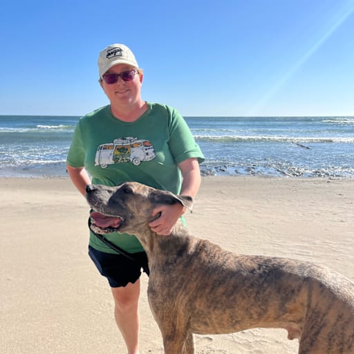 Profile image for pet sitter Lyndsey