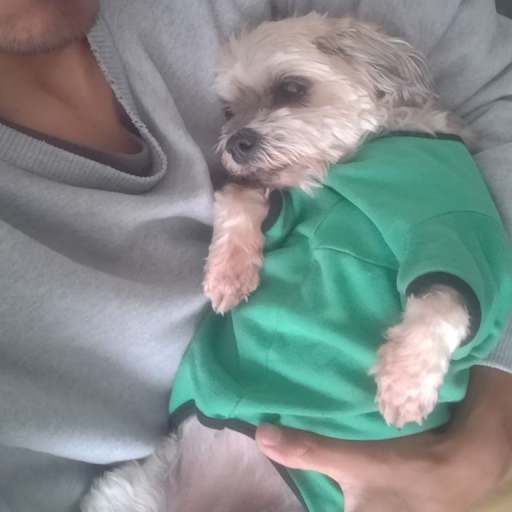 Profile image for pet sitters Shakura & Martin