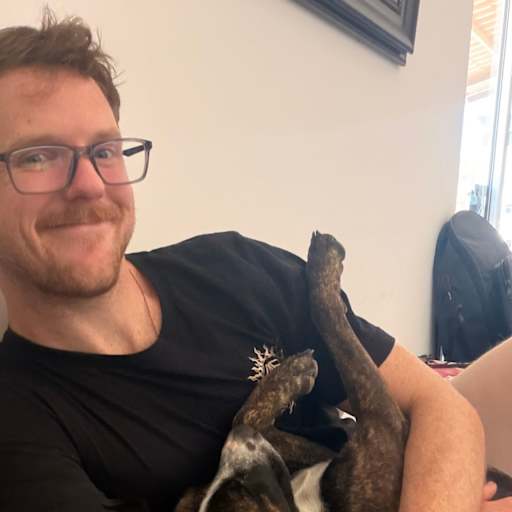 Profile image for pet sitter Maverick