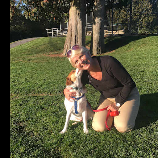 Profile image for pet sitter Stevie