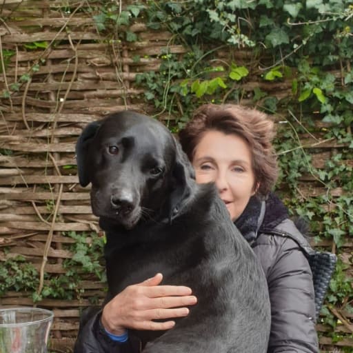 Profile image for pet sitters Mickey & Brigid