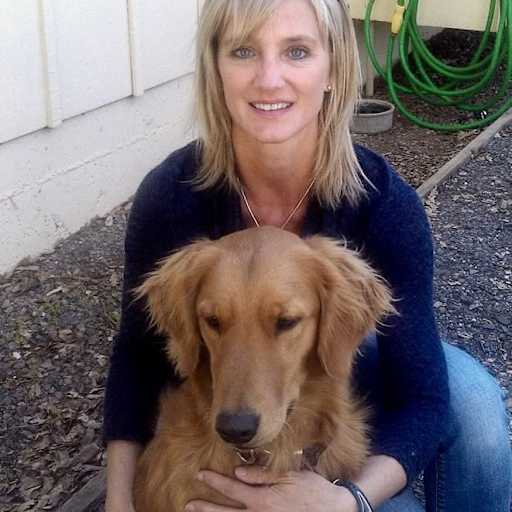 Profile image for pet sitter Merci