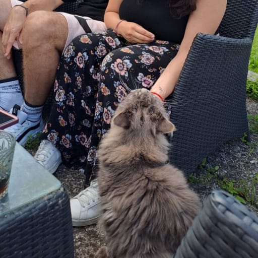 Profile image for pet sitters Maria & Julian 