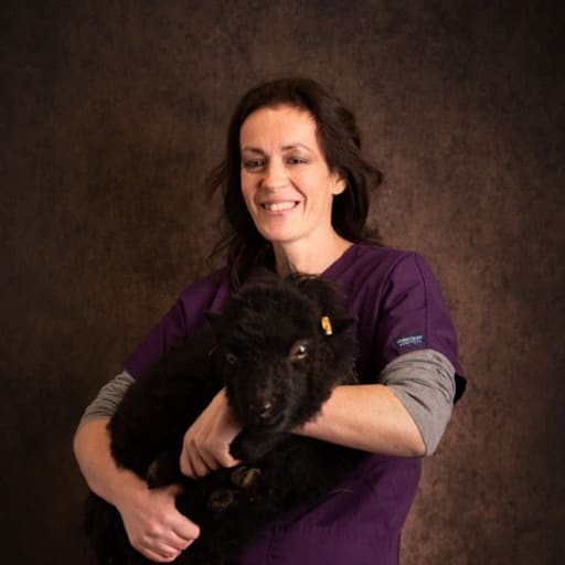 Profile image for pet sitter Emilie