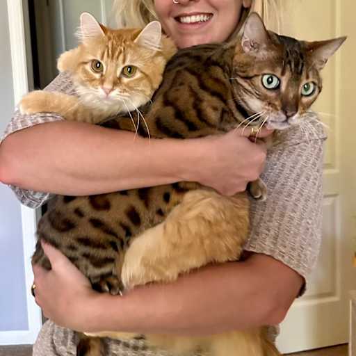 Profile image for pet sitter Dominique