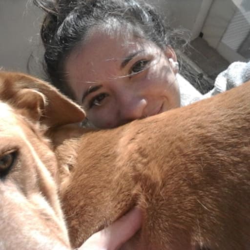 Profile image for pet sitter Daniela