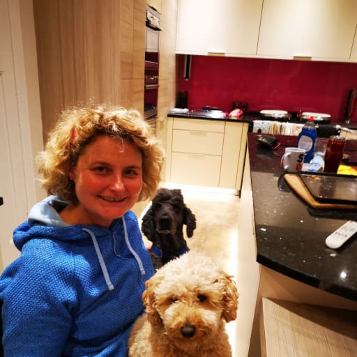 Profile image for pet sitter Suzanne