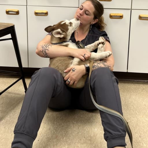 Profile image for pet sitter Ruth