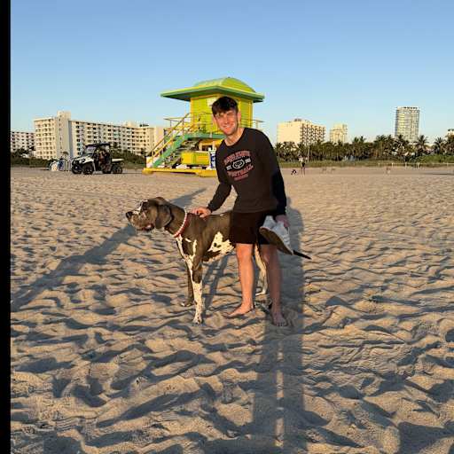 Profile image for pet sitter Robert