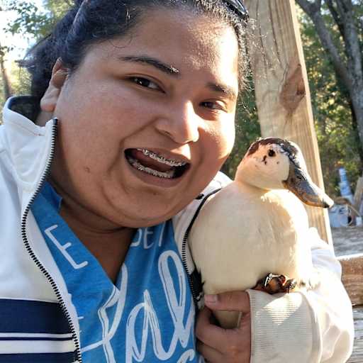 Profile image for pet sitter Irais