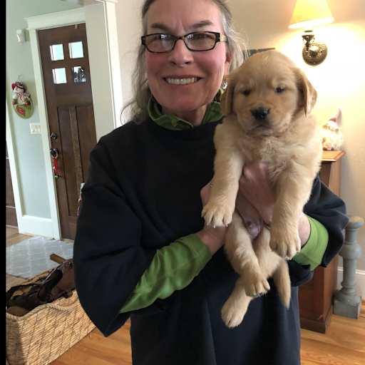 Profile image for pet sitter KATHRYN