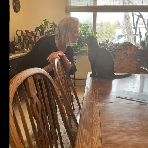 Profile image for pet sitter Trudy