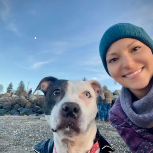 Profile image for pet sitter Sava Lindsey
