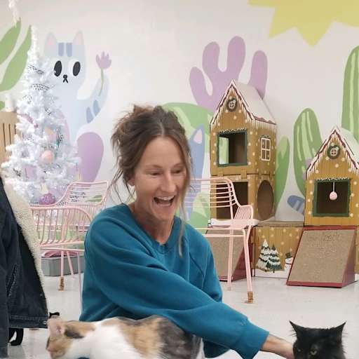 Profile image for pet sitter katy