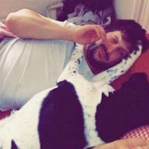 Profile image for pet sitter David