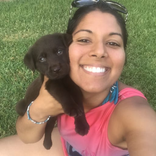 Profile image for pet sitter Divya