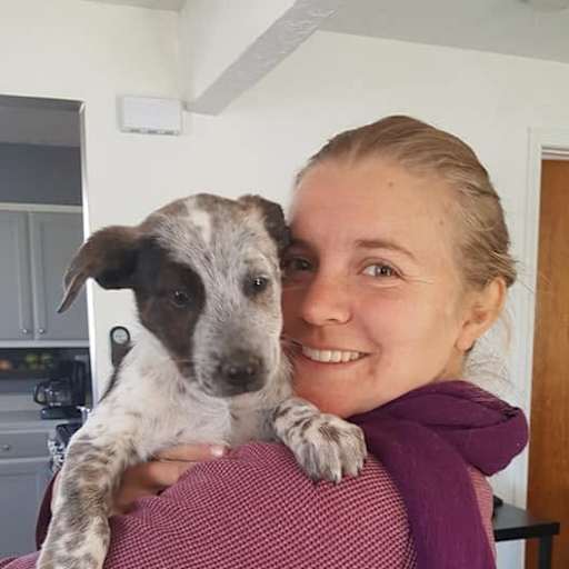 Profile image for pet sitter Sienna