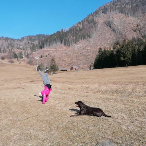 Profile image for pet sitter Anja