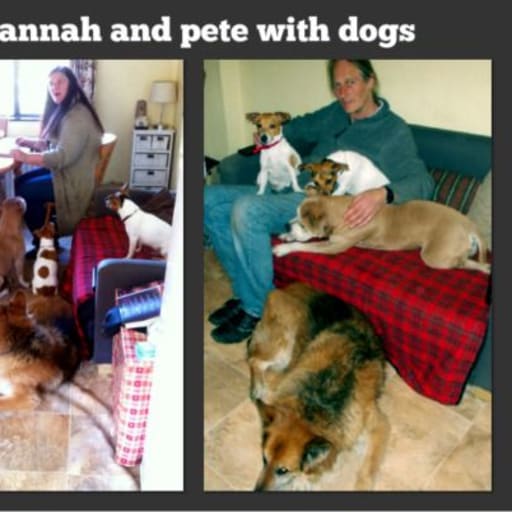 Profile image for pet sitters Hannah & Peter