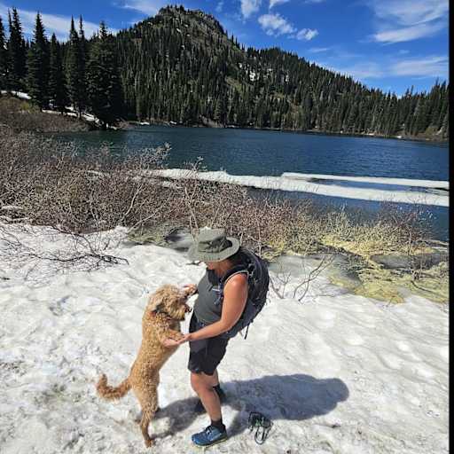 Profile image for pet sitter Katie