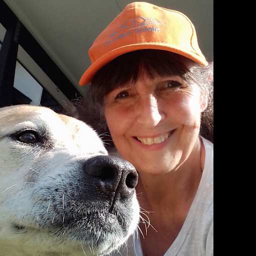 Profile image for pet sitter Shelley