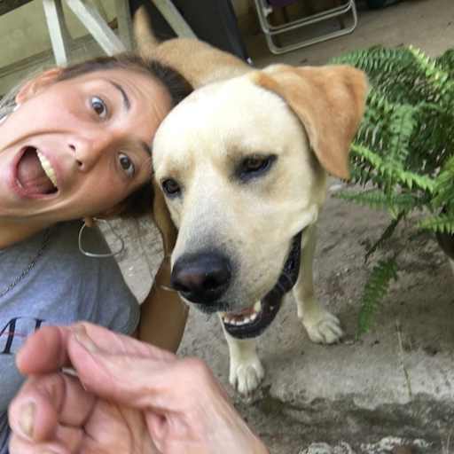 Profile image for pet sitters Denise & Facundo