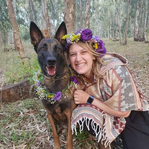 Profile image for pet sitter Ofir