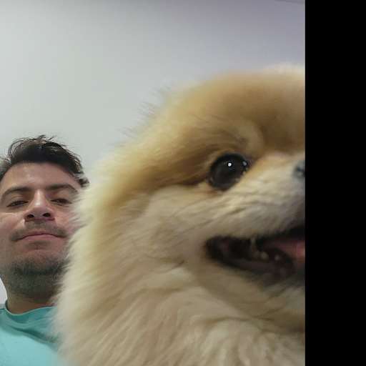 Profile image for pet sitter David Leonardo