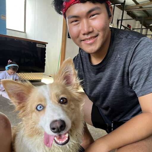 Profile image for pet sitter SeHo