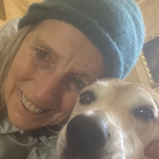 Profile image for pet sitter mary