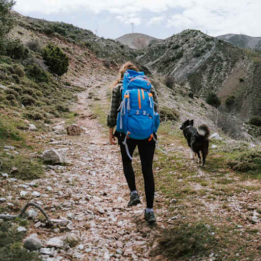 Profile image for pet sitter Kate