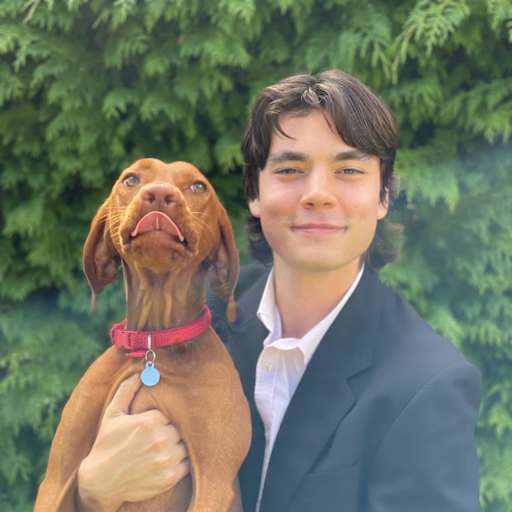 Profile image for pet sitter Jasper