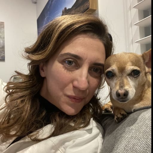 Find a Pet Sitter in Amsterdam, Netherlands