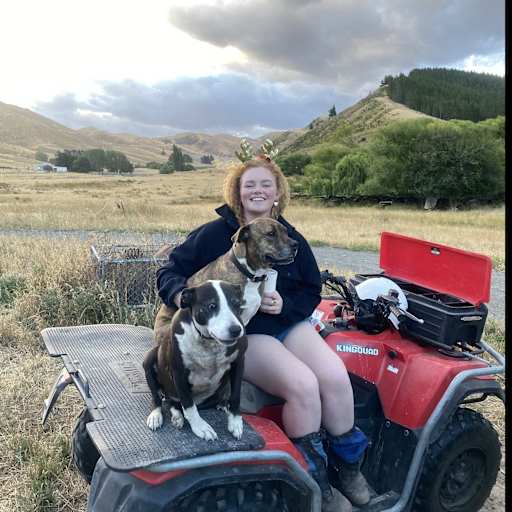Profile image for pet sitter Maxine