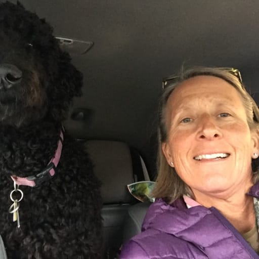 Profile image for pet sitter Elisabeth
