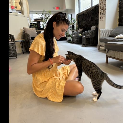 Profile image for pet sitters Laura & Mario