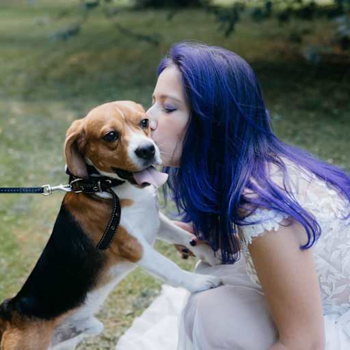 Profile image for pet sitter Polina