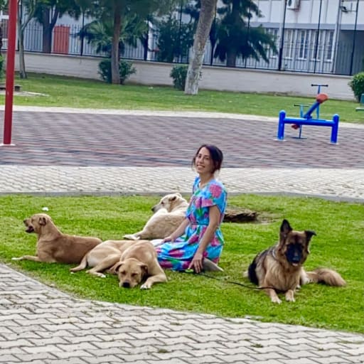 Profile image for pet sitter Erinc