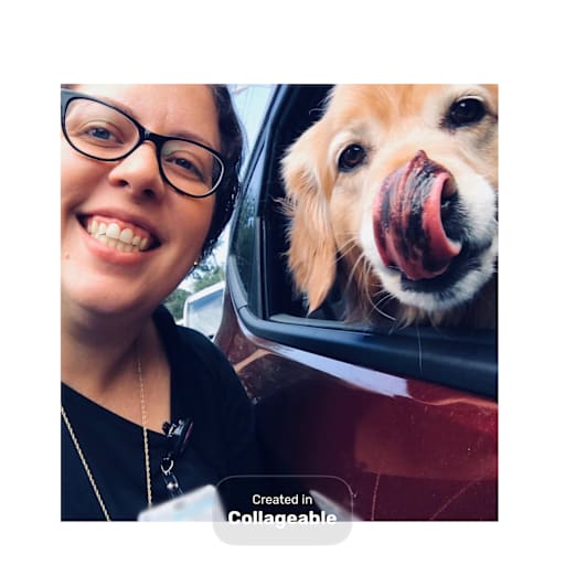 Profile image for pet sitter Carolyn