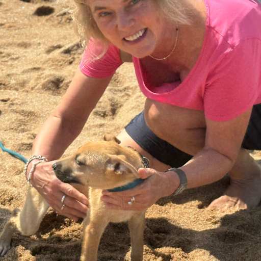 Profile image for pet sitter Karin