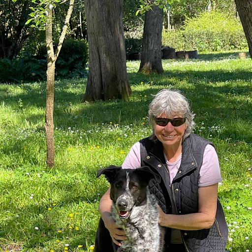 Profile image for pet sitters Jennifer & Johan
