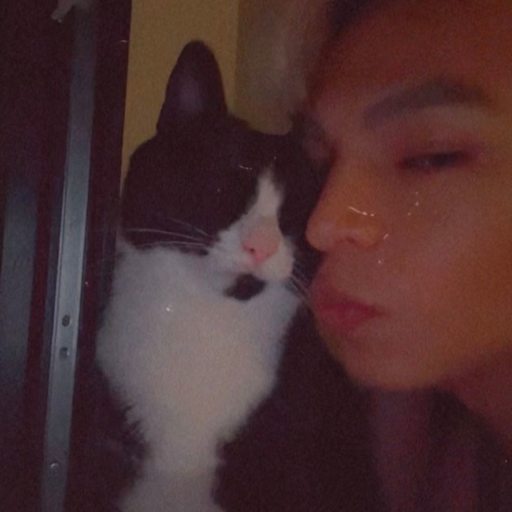 Profile image for pet sitter Neomar Jose