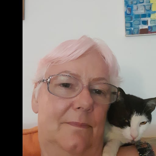 Profile image for pet sitter Gillian