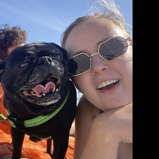 Profile image for pet sitter Tory