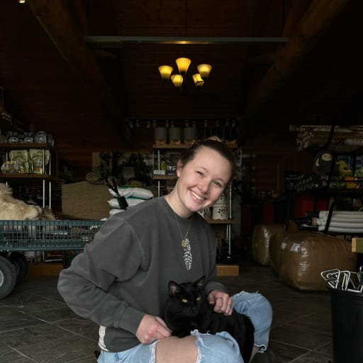 Profile image for pet sitter Skylar