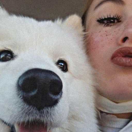 Profile image for pet sitter Séléna